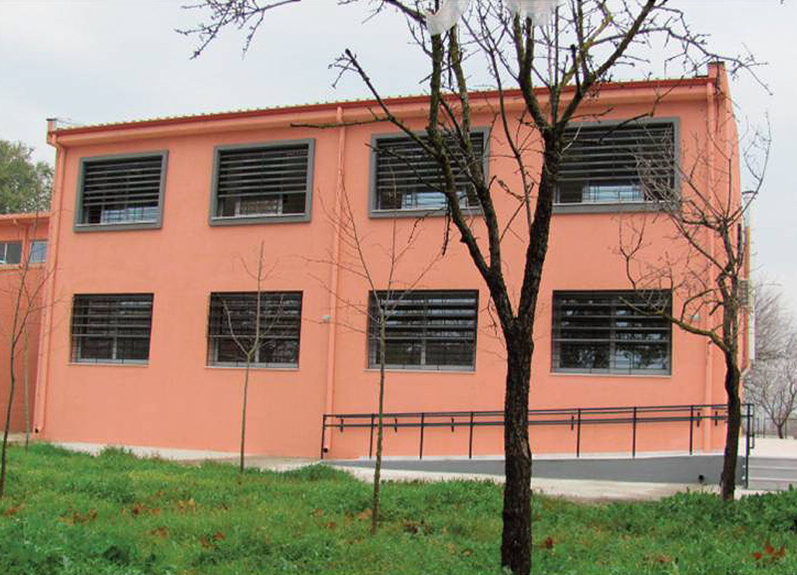 solis platykampos 2
